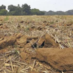 Asamblea declara emergencia nacional tras sequía meteorológica y agrícola por fenómeno de El Niño